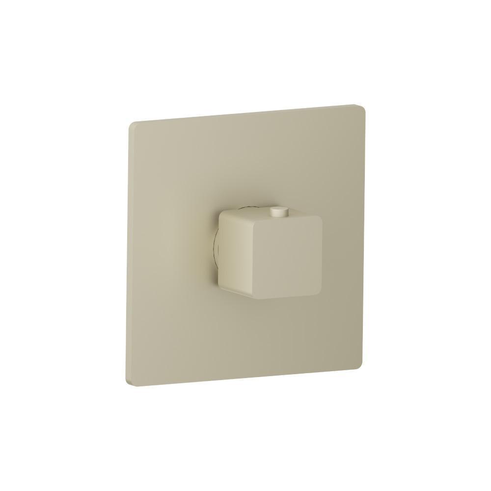 3/4" Thermostatic Valve With Trim