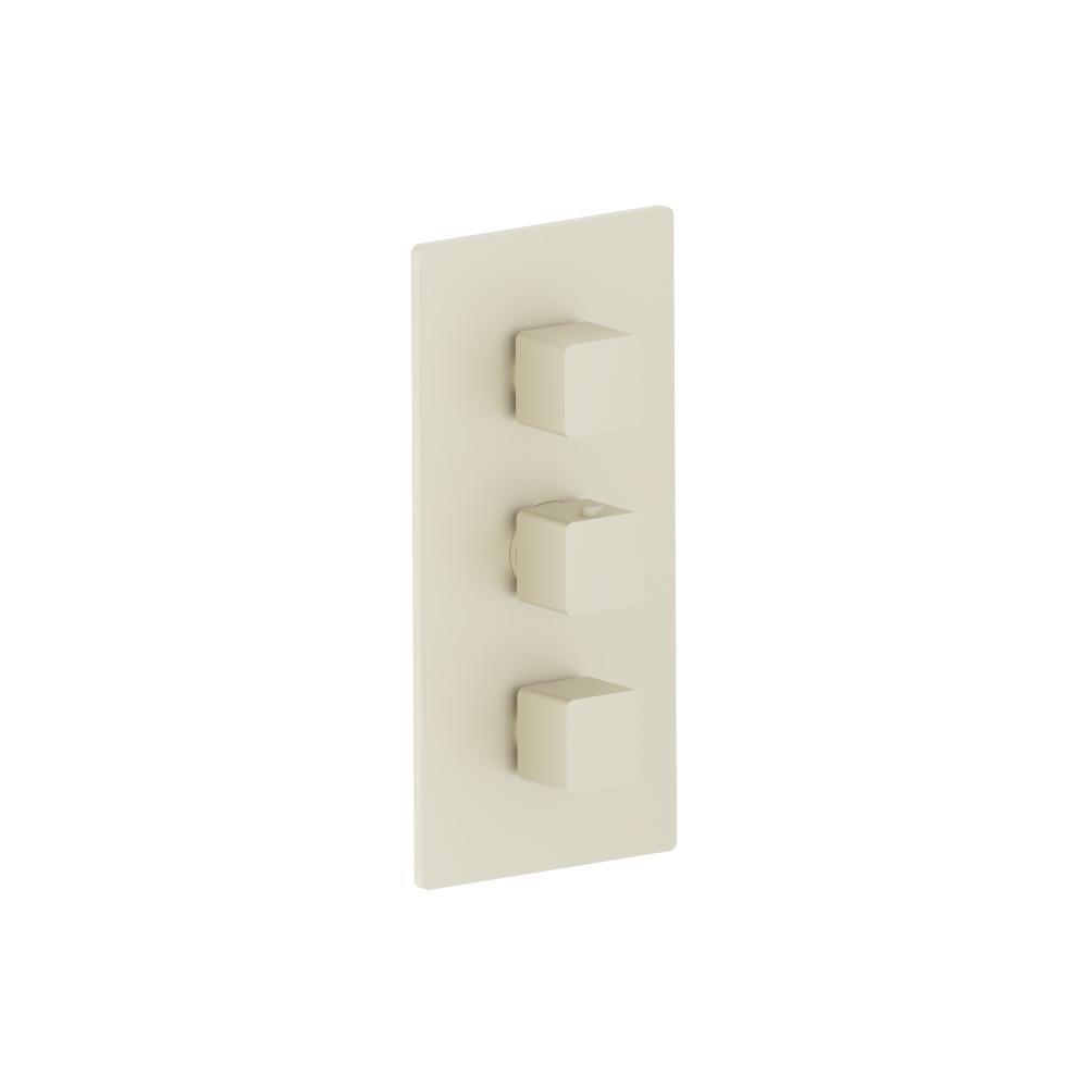 3/4" Thermostatic Valve and Trim - 2 Outputs
