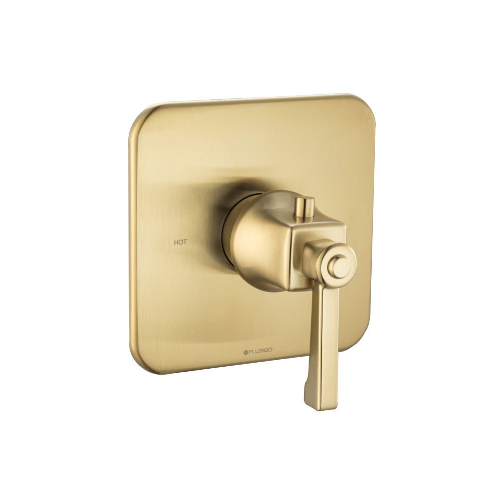 3/4" Thermostatic Valve With Trim