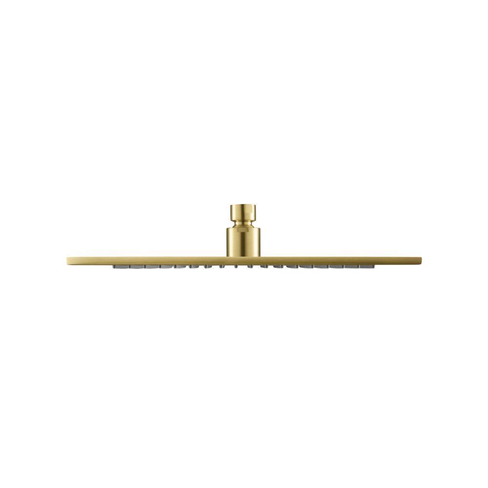 12" Solid Brass Showerhead / Rainhead