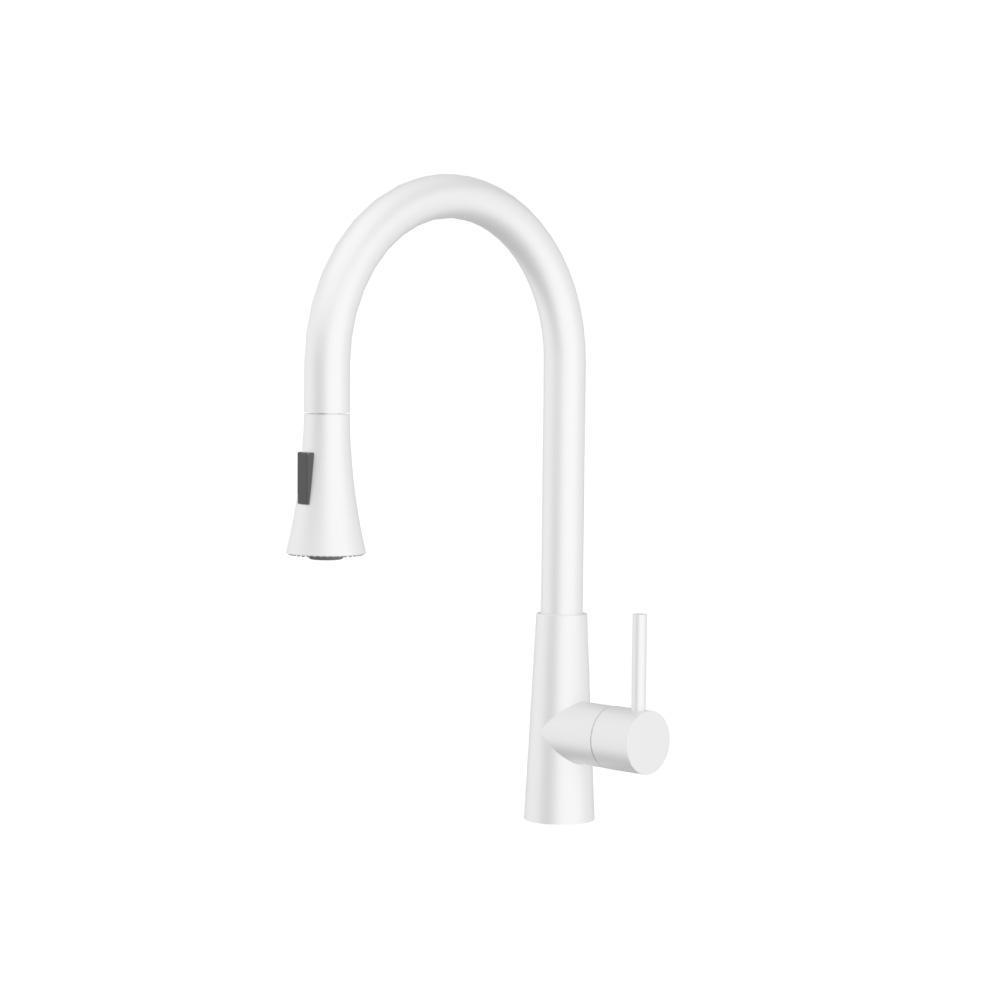 Zest - Dual Spray Stainless Steel Kitchen Faucet With Pull Out