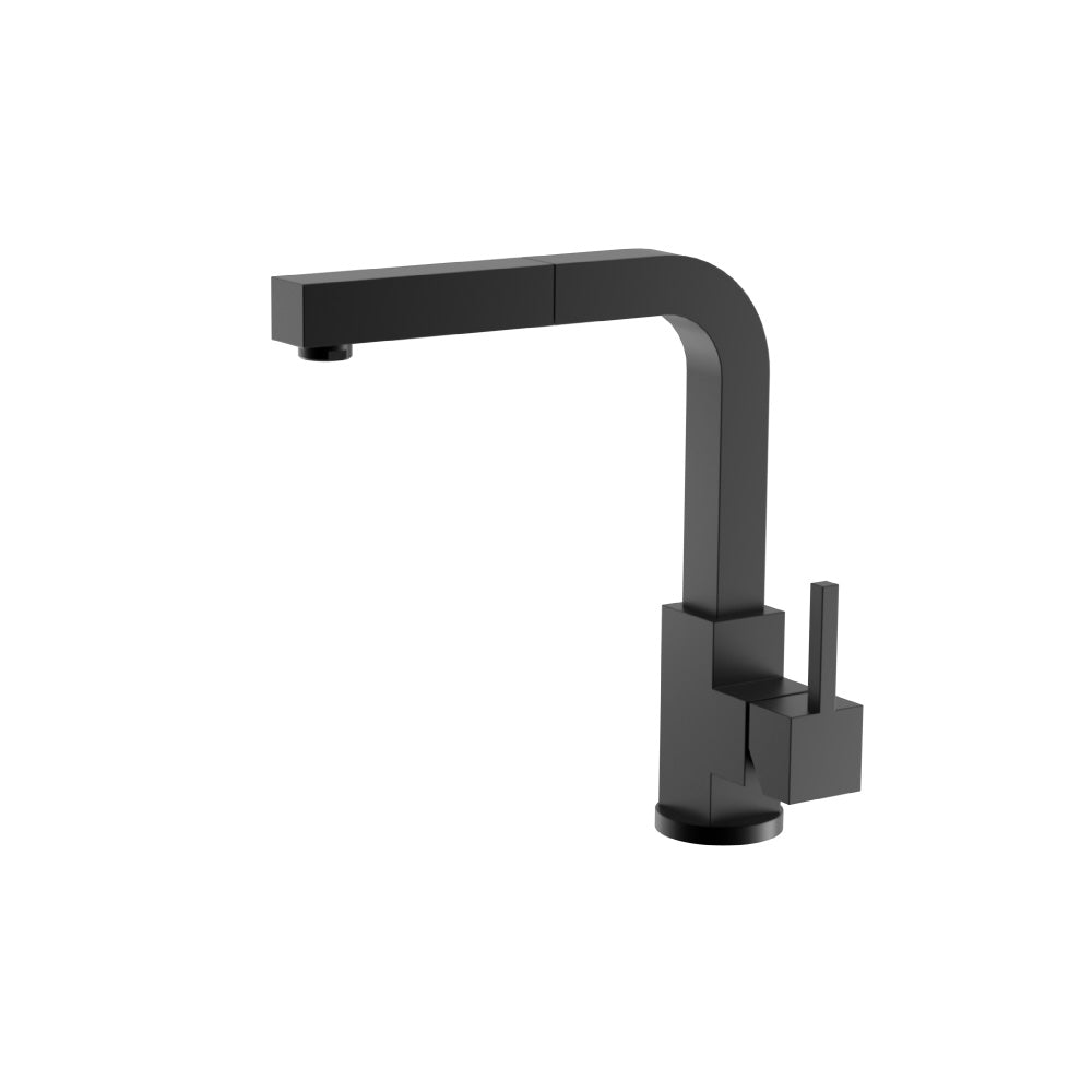 Deus - Dual Spray Stainless Steel Kitchen Faucet With Pull Out