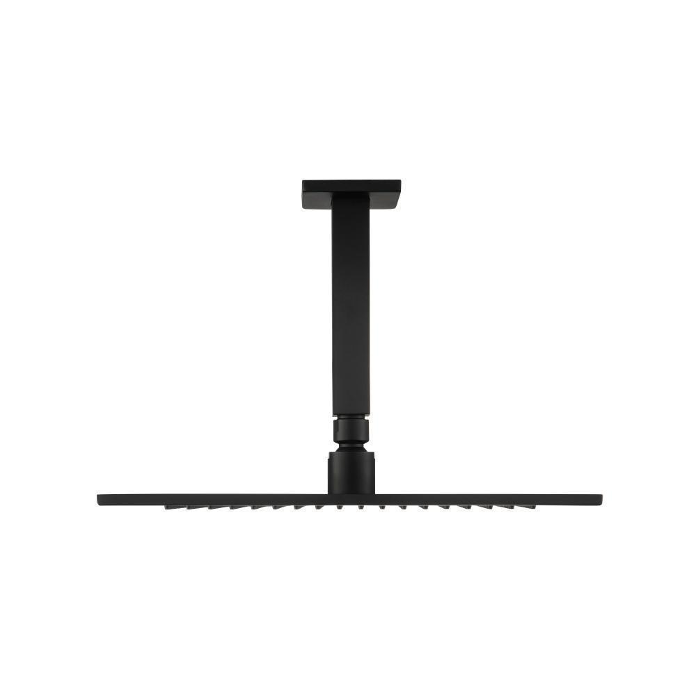 12" Rain Head with 6" Ceiling Mount Arm