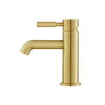 Single Hole Bathroom Faucet