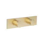 Trim For Thermostatic Valve
