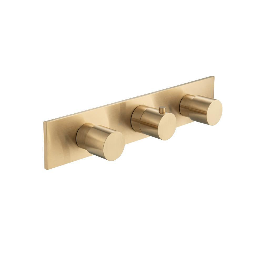 Trim For Horizontal Thermostatic Valve with 2 Volume Controls