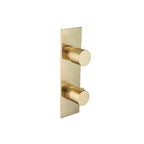 3/4" Thermostatic Shower Valve & Trim  - 2-Output