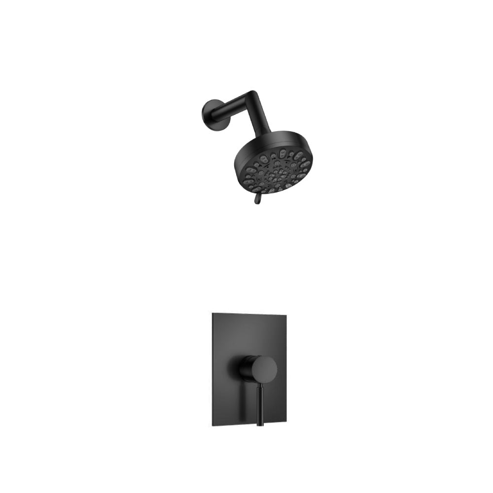 Single Output Shower Set With ABS Shower Head & Arm