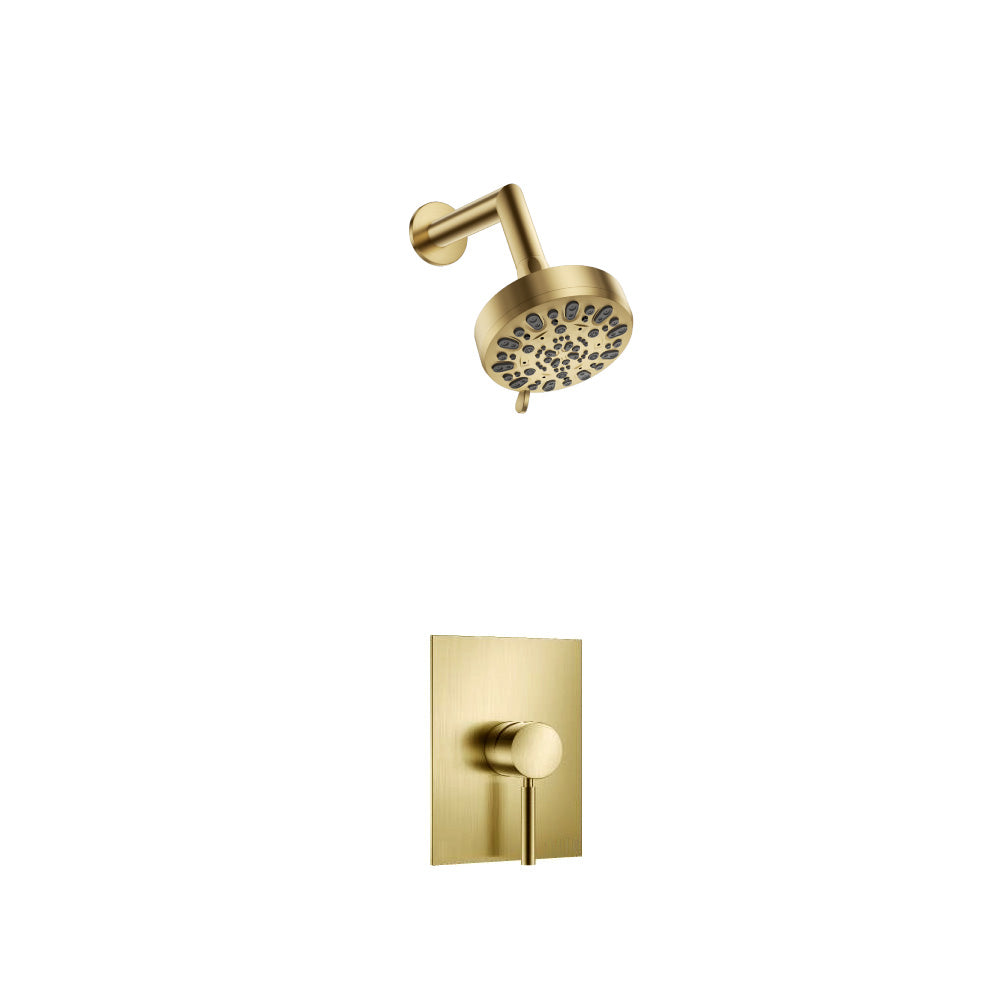 Single Output Shower Set With ABS Shower Head & Arm