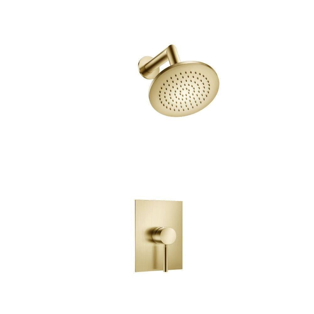 Single Output Shower Set With ABS Shower Head & Arm