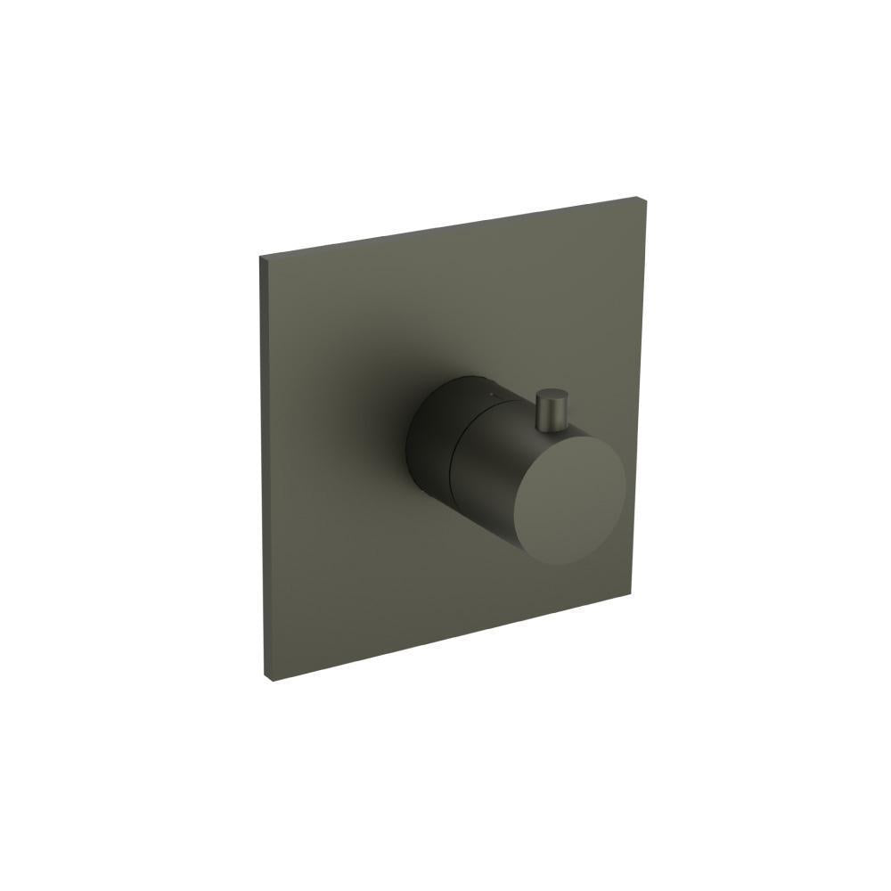 Trim For 3/4" Thermostatic Valve - Use with TVH.4201