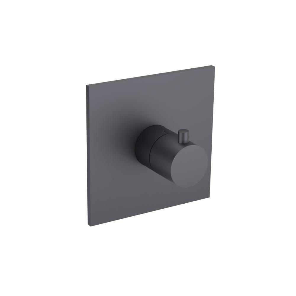 Trim For 3/4" Thermostatic Valve - Use with TVH.4201