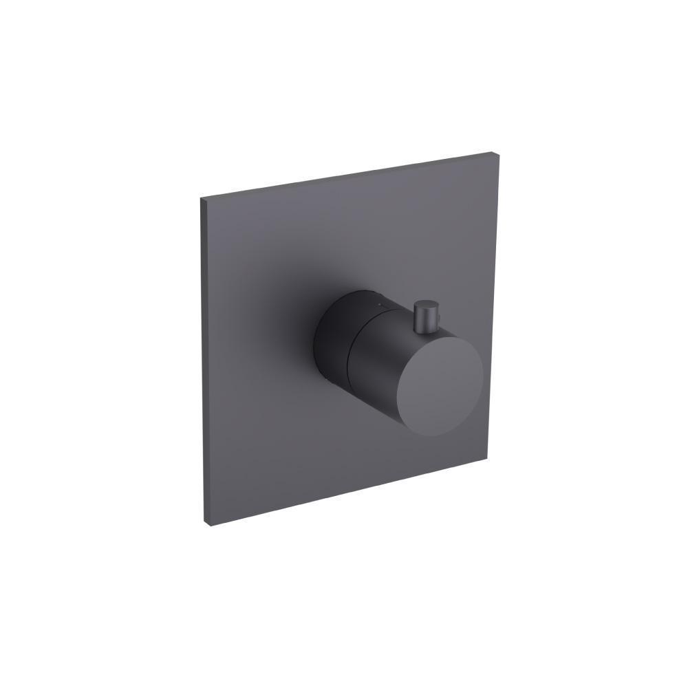 Trim For 3/4" Thermostatic Valve - Use with TVH.4201