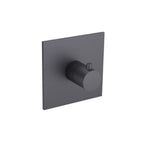 Trim For 3/4" Thermostatic Valve - Use with TVH.4201