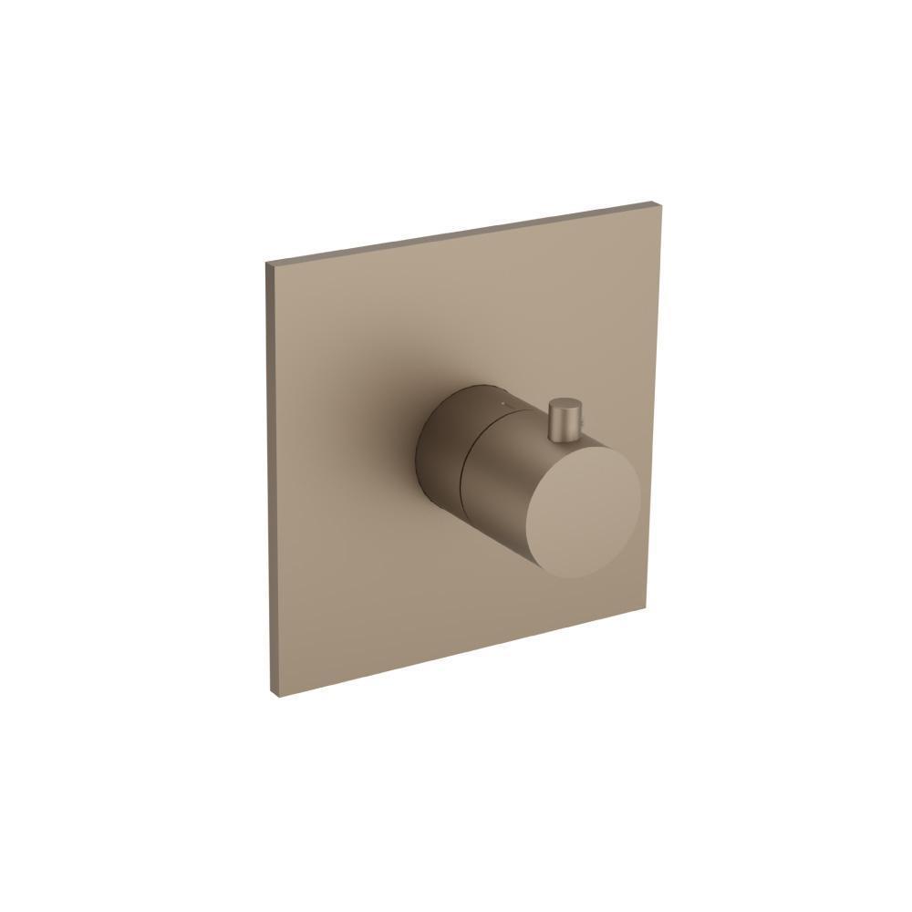Trim For 3/4" Thermostatic Valve - Use with TVH.4201