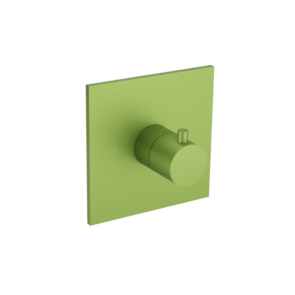 Trim For 3/4" Thermostatic Valve - Use with TVH.4201