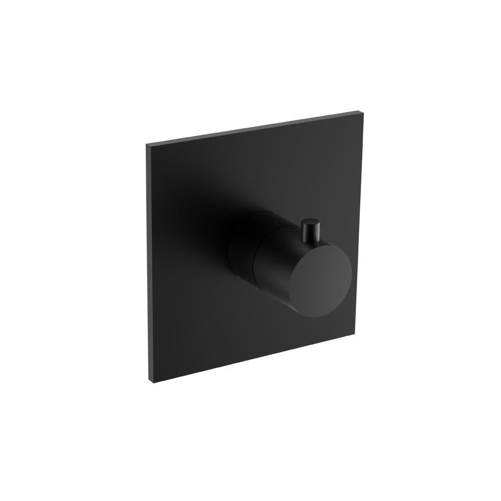 3/4" Thermostatic Valve With Trim
