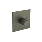 Trim For 3/4" Thermostatic Valve - Use with TVH.4201