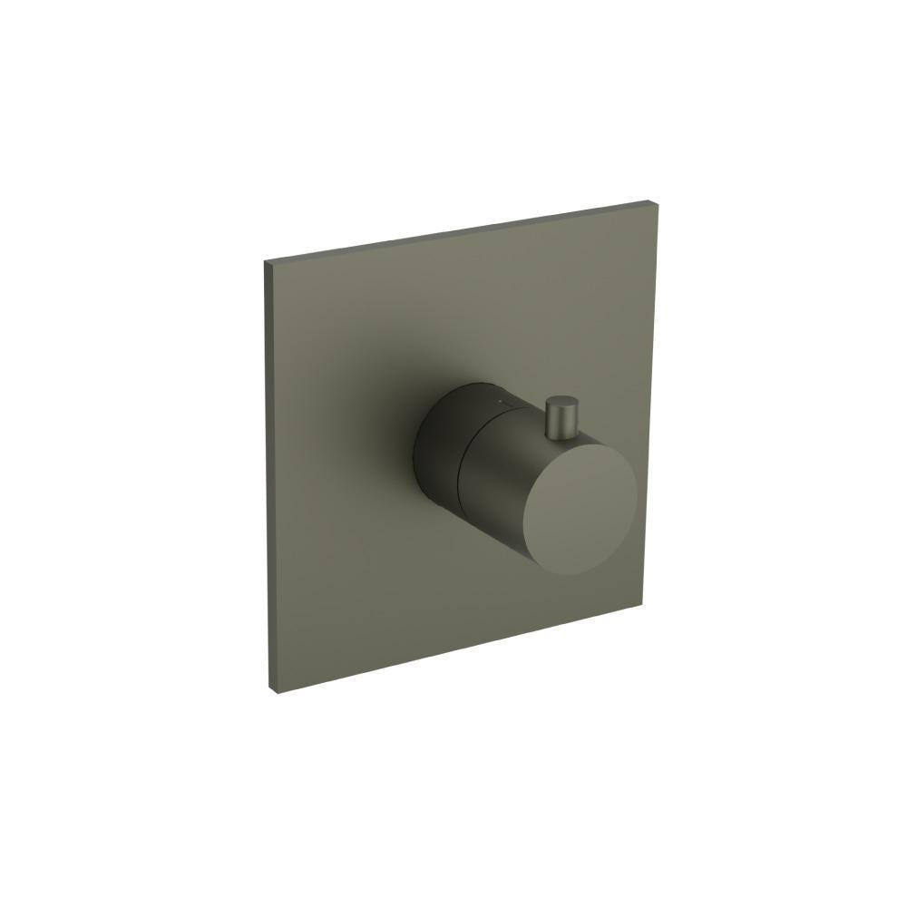 Trim For 3/4" Thermostatic Valve - Use with TVH.4201