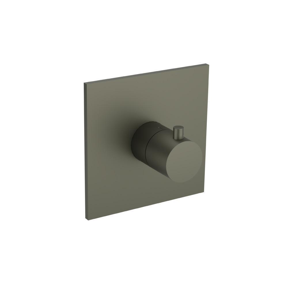 Trim For 3/4" Thermostatic Valve - Use with TVH.4201