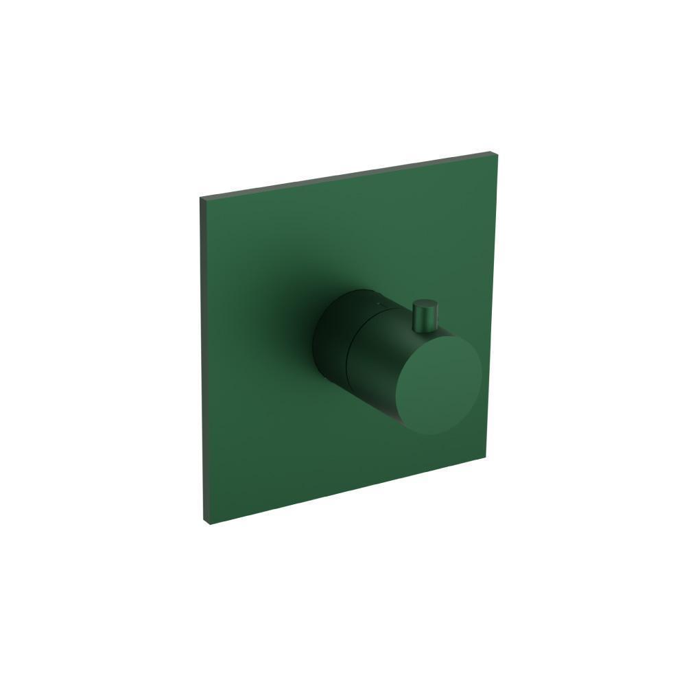 Trim For 3/4" Thermostatic Valve - Use with TVH.4201