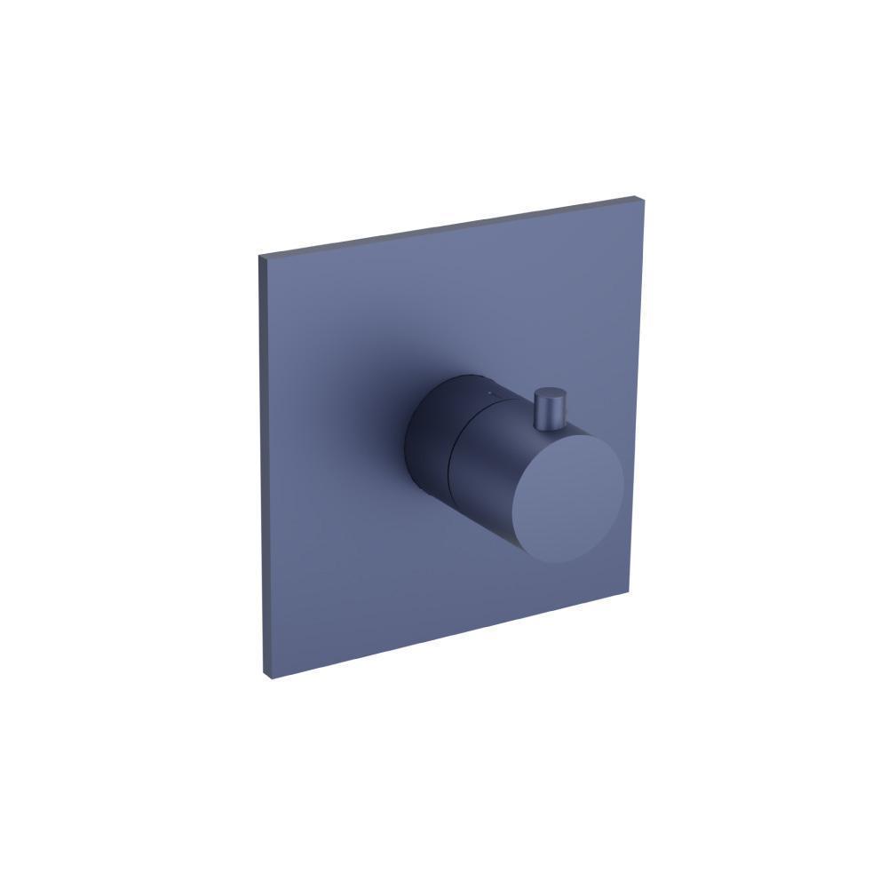 Trim For 3/4" Thermostatic Valve - Use with TVH.4201