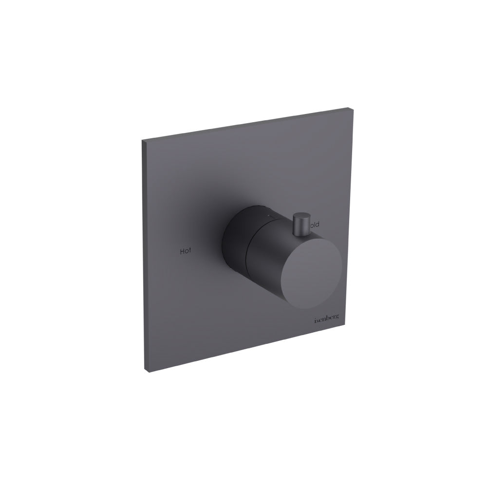 Trim For 3/4" Thermostatic Valve - Use with TVH.4201