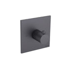 Trim For 3/4" Thermostatic Valve - Use with TVH.4201