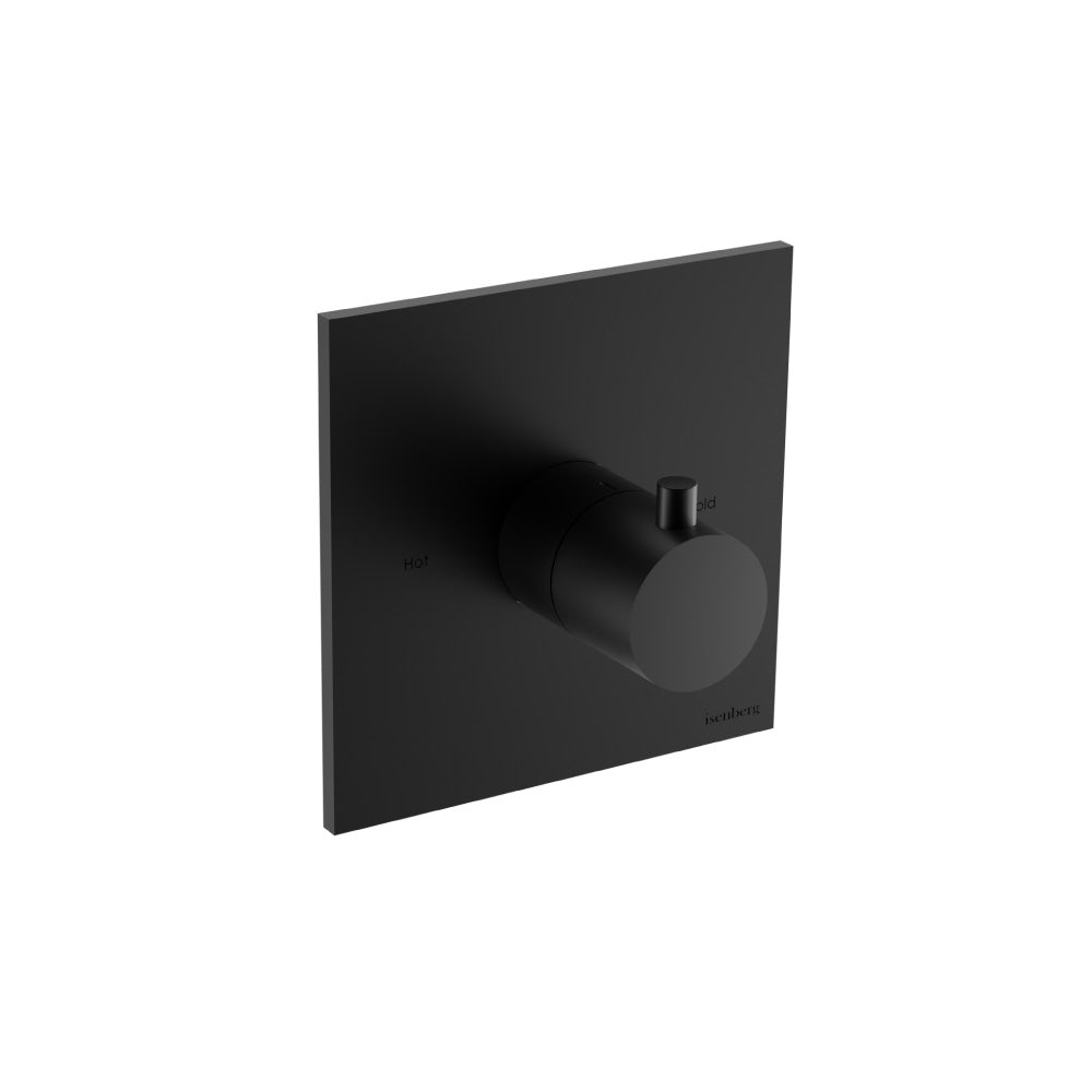 Trim For 3/4" Thermostatic Valve - Use with TVH.4201