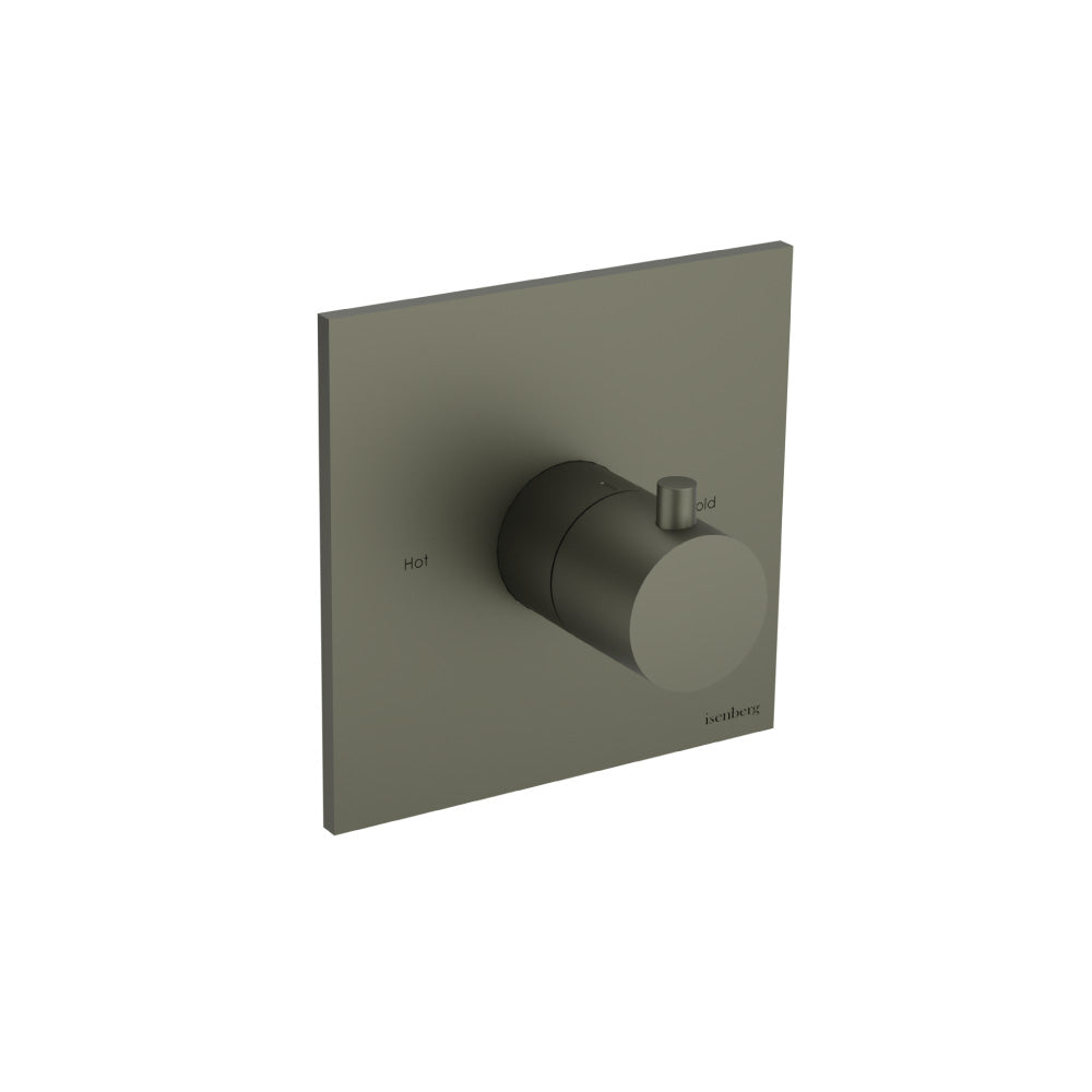 Trim For 3/4" Thermostatic Valve - Use with TVH.4201