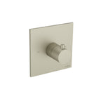Trim For 3/4" Thermostatic Valve - Use with TVH.4201