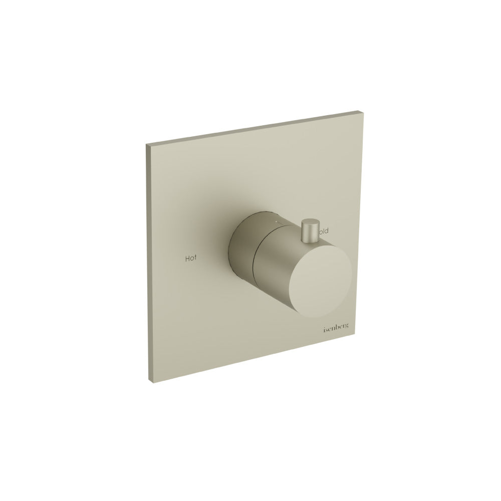 Trim For 3/4" Thermostatic Valve - Use with TVH.4201