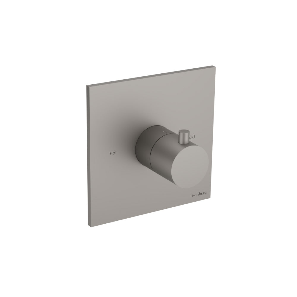 Trim For 3/4" Thermostatic Valve - Use with TVH.4201