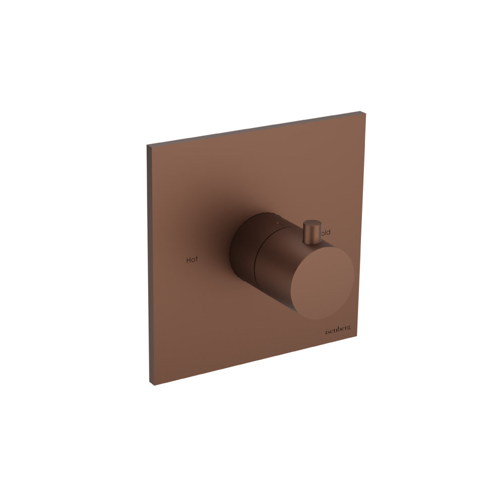 Trim For 3/4" Thermostatic Valve - Use with TVH.4201