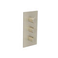 3/4" Thermostatic Valve & Trim - 4 Output