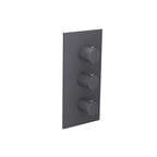 3/4" Thermostatic Valve and Trim - 2 Outputs