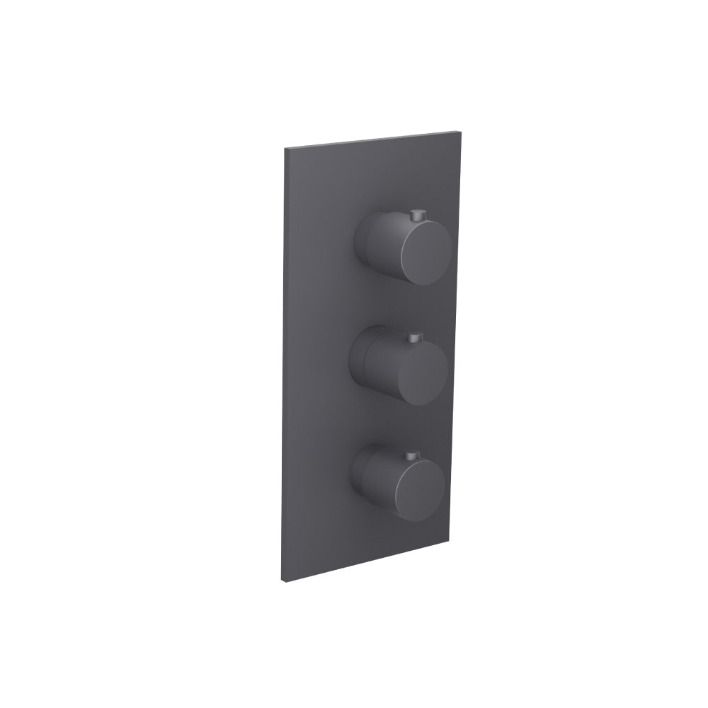 3/4" Thermostatic Valve and Trim - 2 Outputs