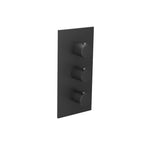 3/4" Thermostatic Valve and Trim - 2 Outputs