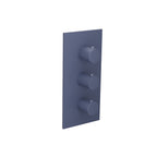 3/4" Thermostatic Valve and Trim - 2 Outputs