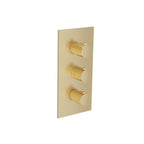 3/4" Thermostatic Valve and Trim - 2 Outputs