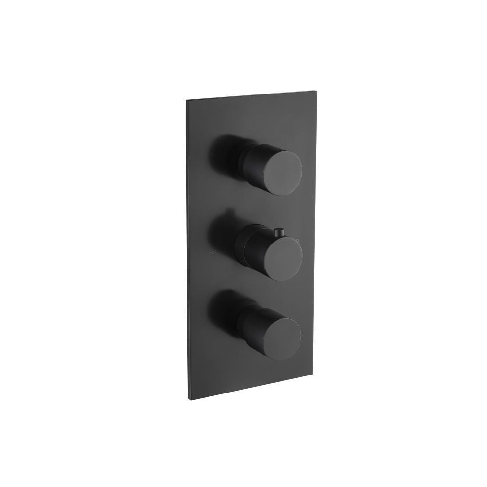 Trim For Thermostatic Valve