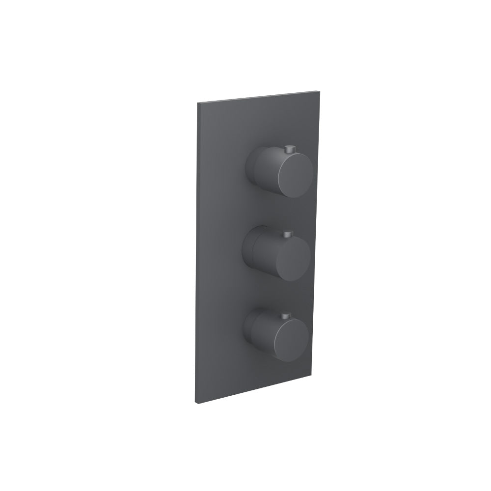 3/4" Thermostatic Valve & Trim - 4 Output