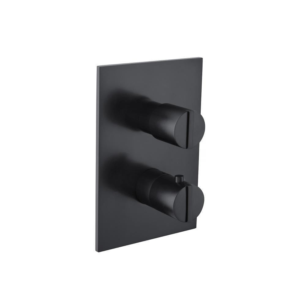 3/4 " Thermostatic Valve & Trim - With 2-Way Diverter - 2 Output