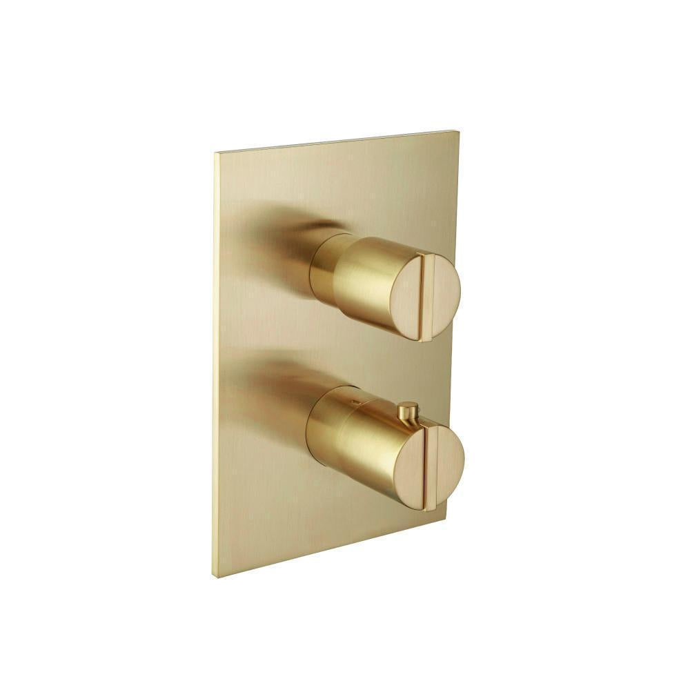 3/4" Thermostatic Valve & Trim - 3 Way Diverter - 3 Outputs