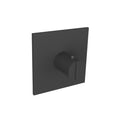 Trim For 3/4" Thermostatic Valve - Use with TVH.4201