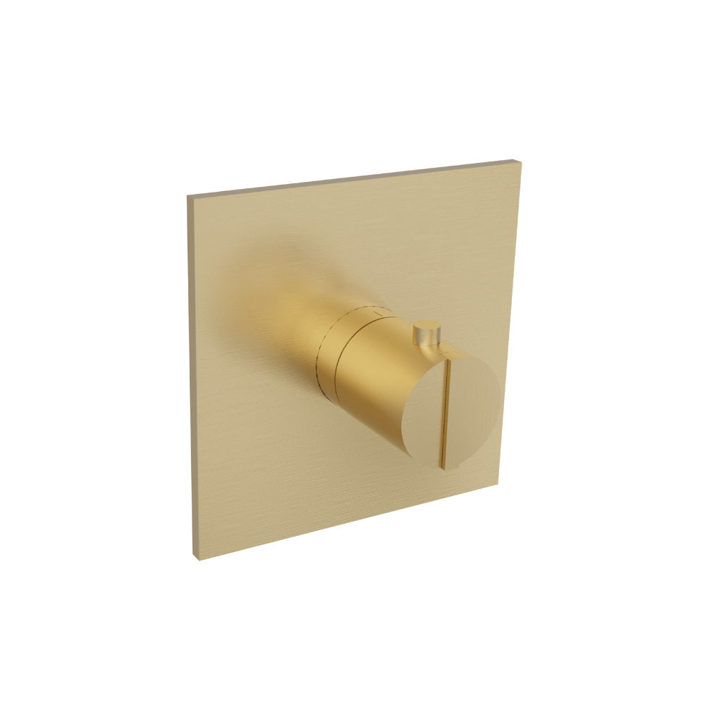 Trim For 3/4" Thermostatic Valve - Use with TVH.4201
