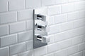 3/4" Thermostatic Valve and Trim - 2 Outputs
