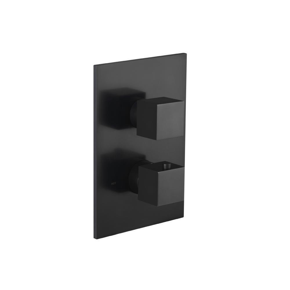 3/4" Thermostatic Valve & Trim - 3 Way Diverter - 3 Outputs
