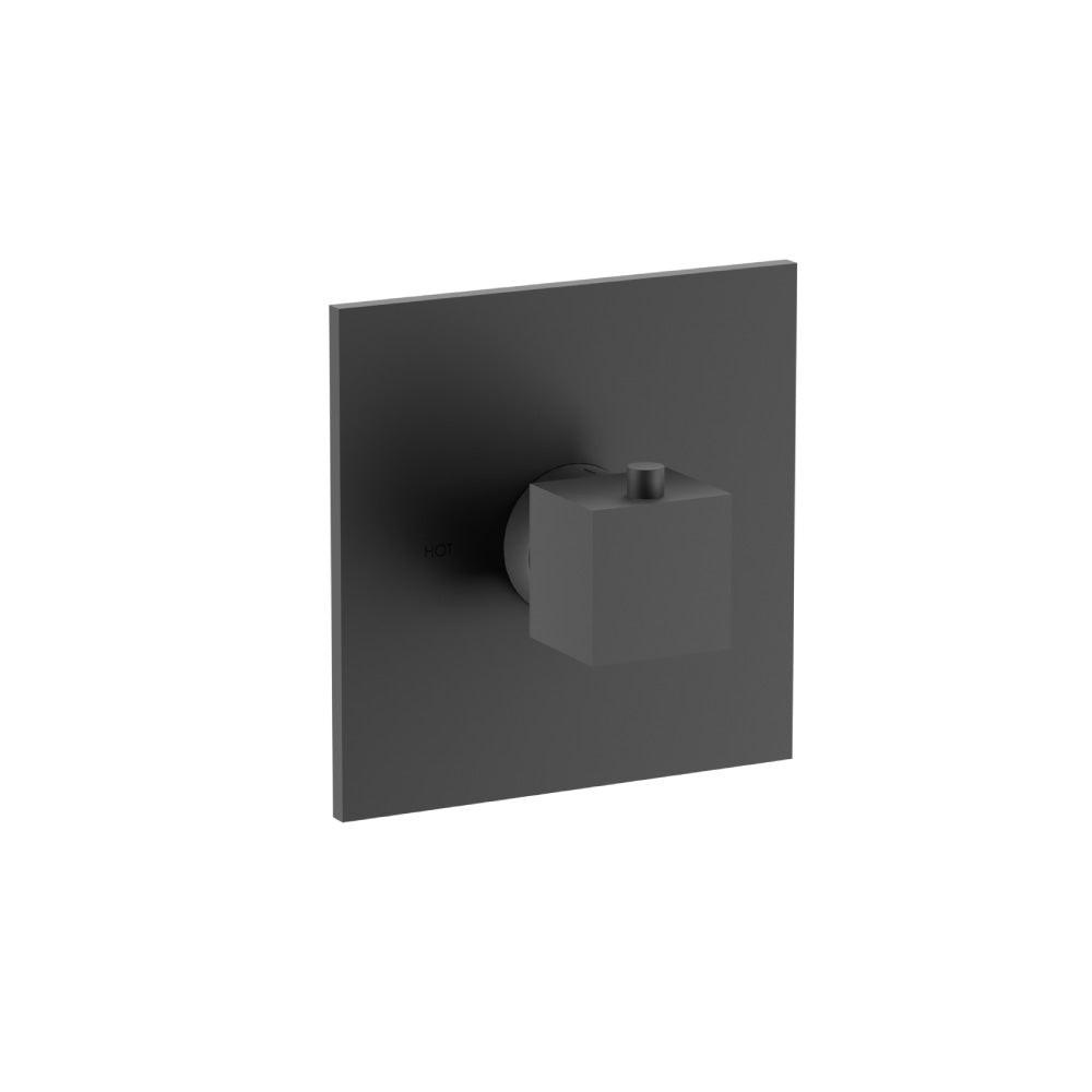 Trim For 3/4" Thermostatic Valve - Use with TVH.4201