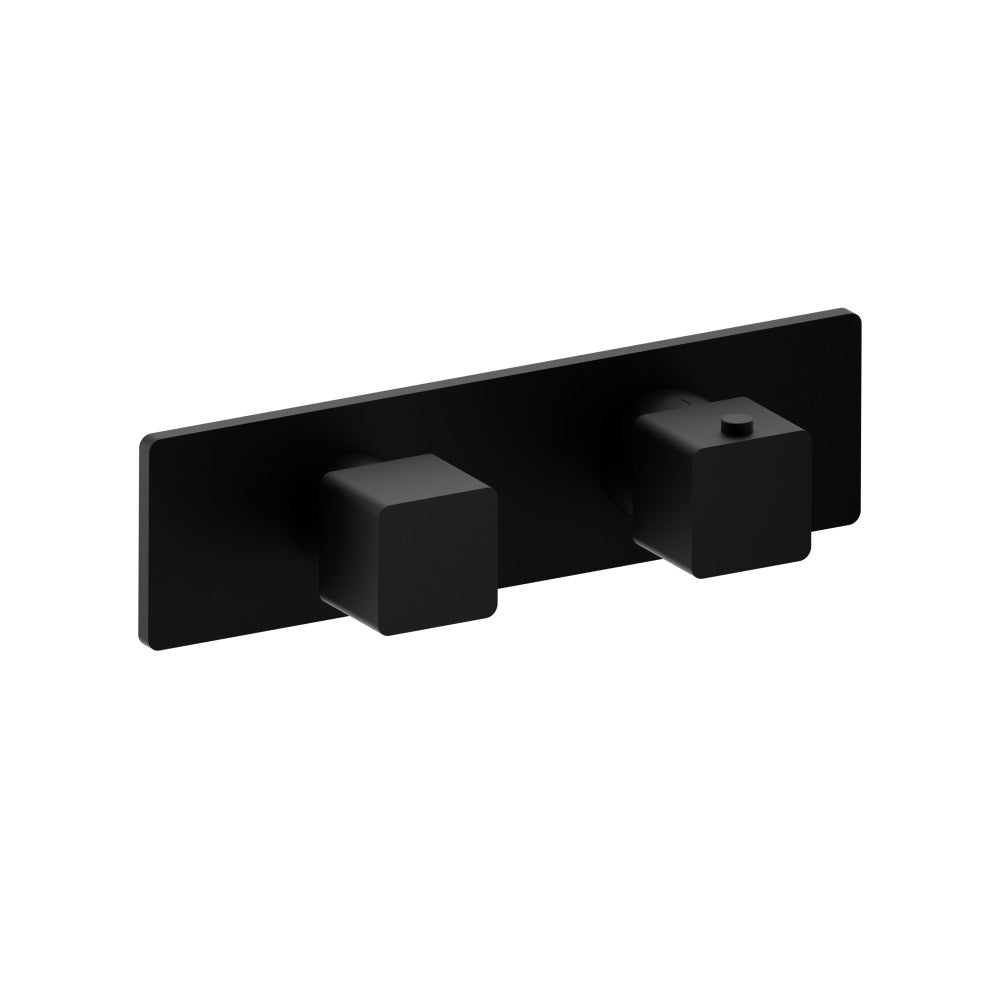 Trim For Thermostatic Valve